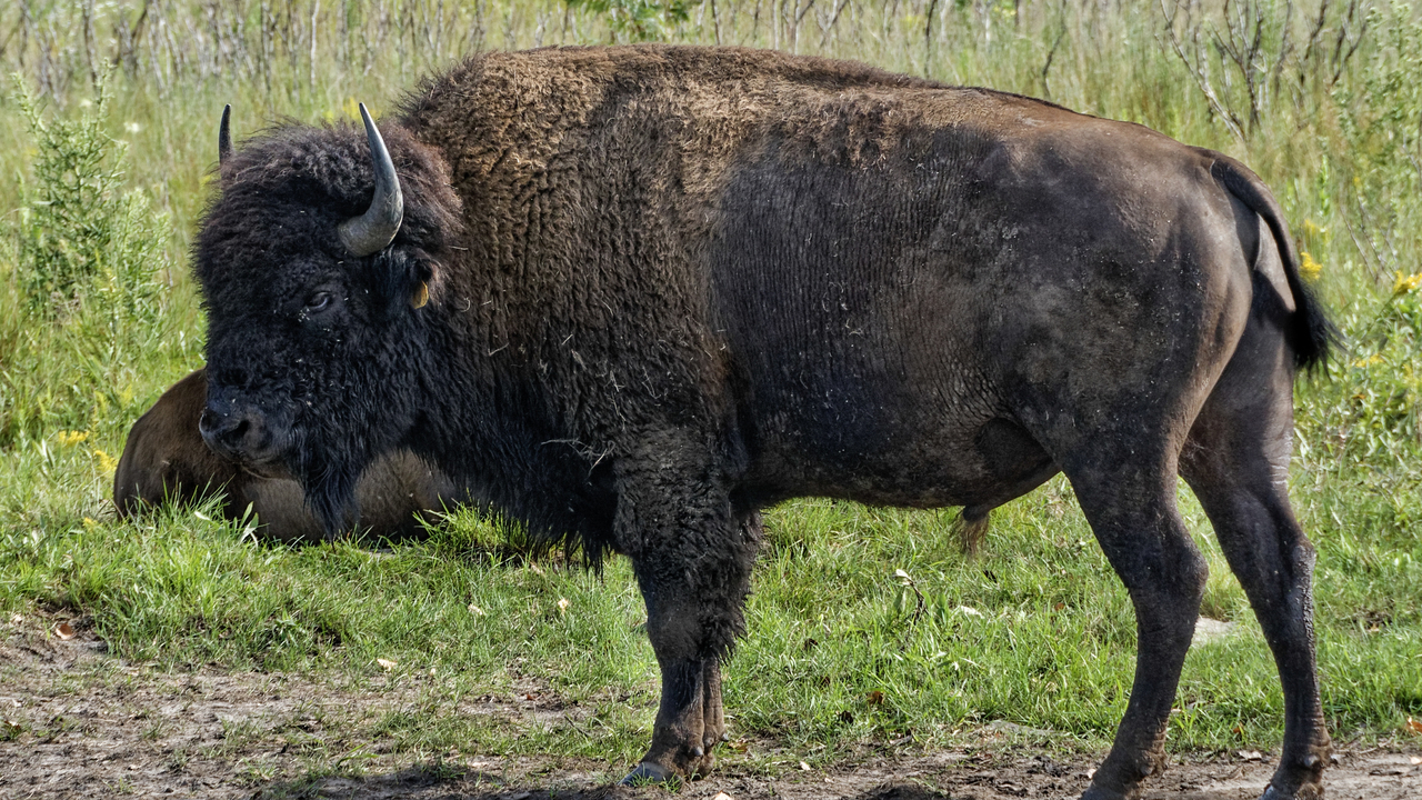 20190801-173832••North Mankato•Minnesota•USA